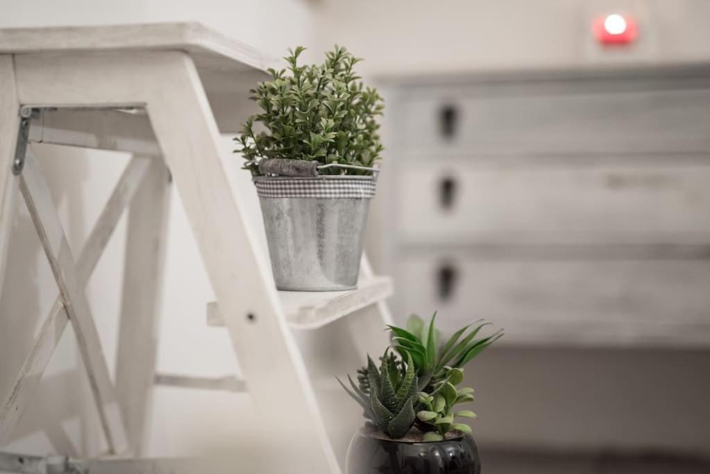 Shabby @trastevere Apartamento