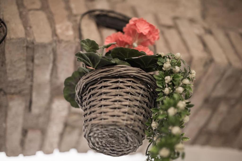 Apartamento Shabby @trastevere